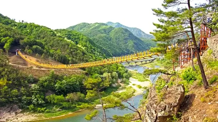 월영산 출렁다리 풍경 / 사진=게티이미지뱅크