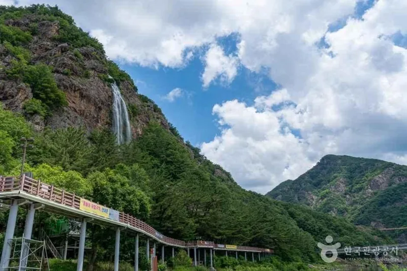 월영산 출렁다리