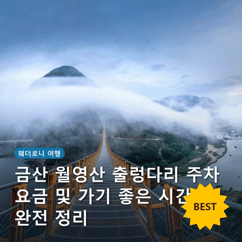 금산 월영산 출렁다리 주차 요금 및 가기 좋은 시간 완전 정리