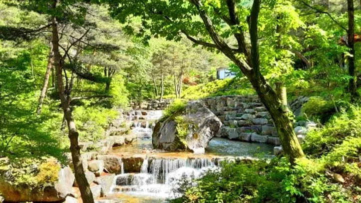 금원산자연휴양림 풍경 / 사진=금원산자연휴양림