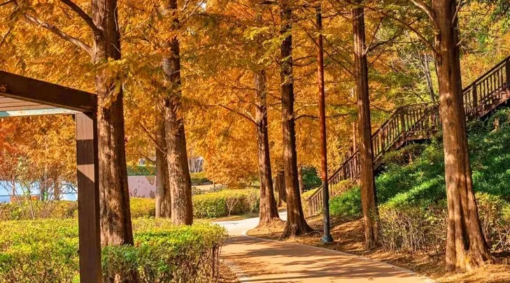 용소웰빙공원 모습 / 사진=비짓부산