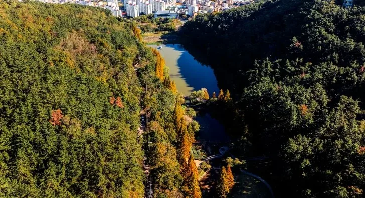 용소웰빙공원 전경 / 사진=부산관광아카이브