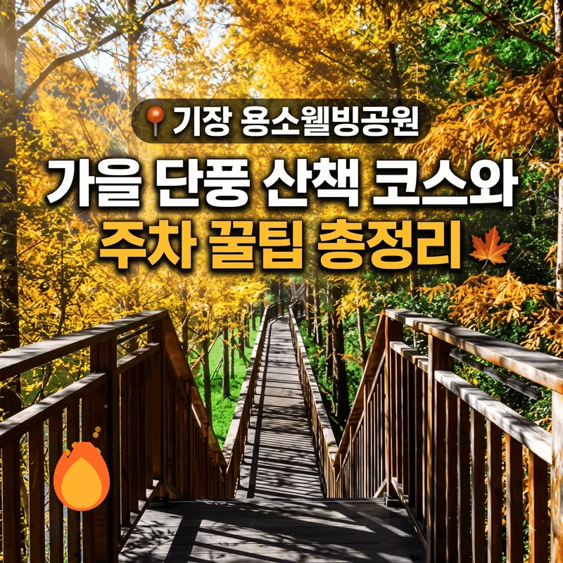 기장 용소웰빙공원 가을 단풍 산책 코스와 주차 꿀팁 총정리