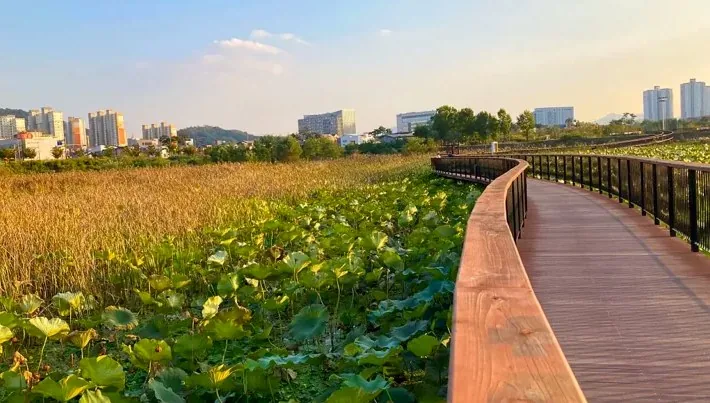 기지제 수변공원 산책로 / 사진=전주 공식블로그 김민지
