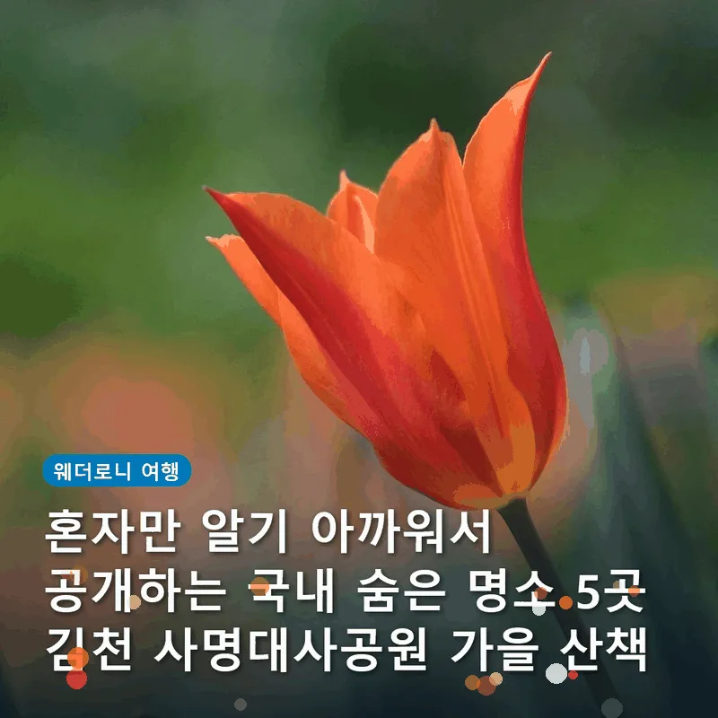 혼자만 알기 아까워서 공개하는 국내 숨은 명소 5곳 김천 사명대사공원 가을 산책