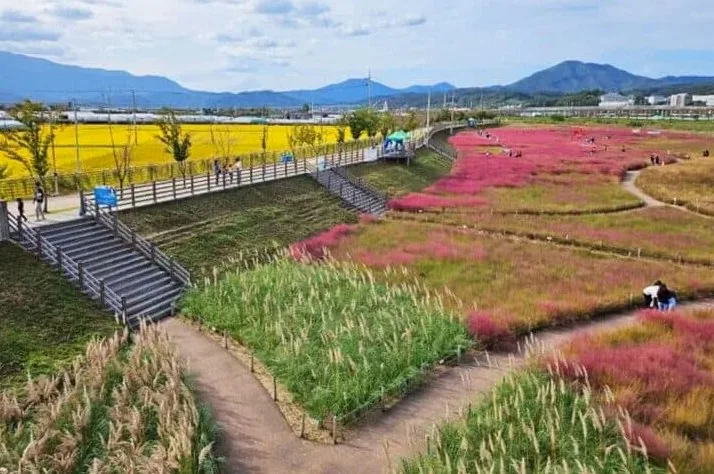 강변공원/사진=김천시 블로그