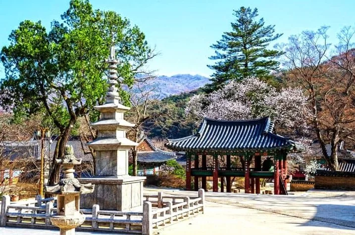 직지사/사진=한국관광공사 이범수