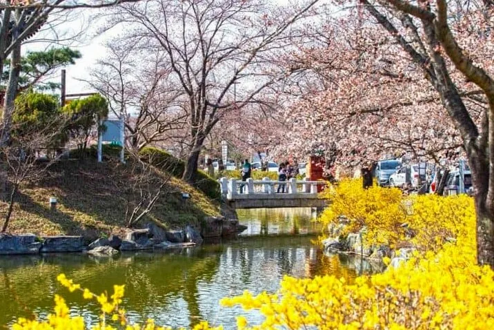 김천 연화지/사진=한국관광공사 이범수