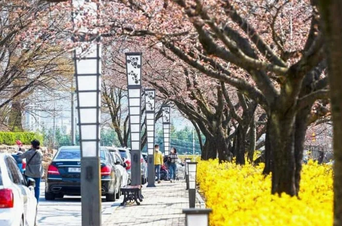 김천 연화지 산책로/사진=한국관광공사 이범수