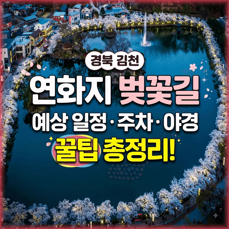 경북 김천 연화지 벚꽃 산책 예상 일정과 주차 및 야경 꿀팁 총정리