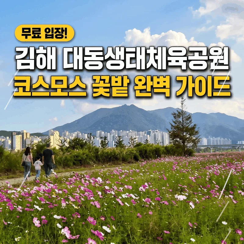 입장료 무료인 김해 대동생태체육공원 코스모스 밭 완벽 가이드