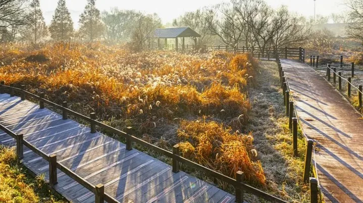 화포천습지 산책로 / 사진=게티이미지뱅크