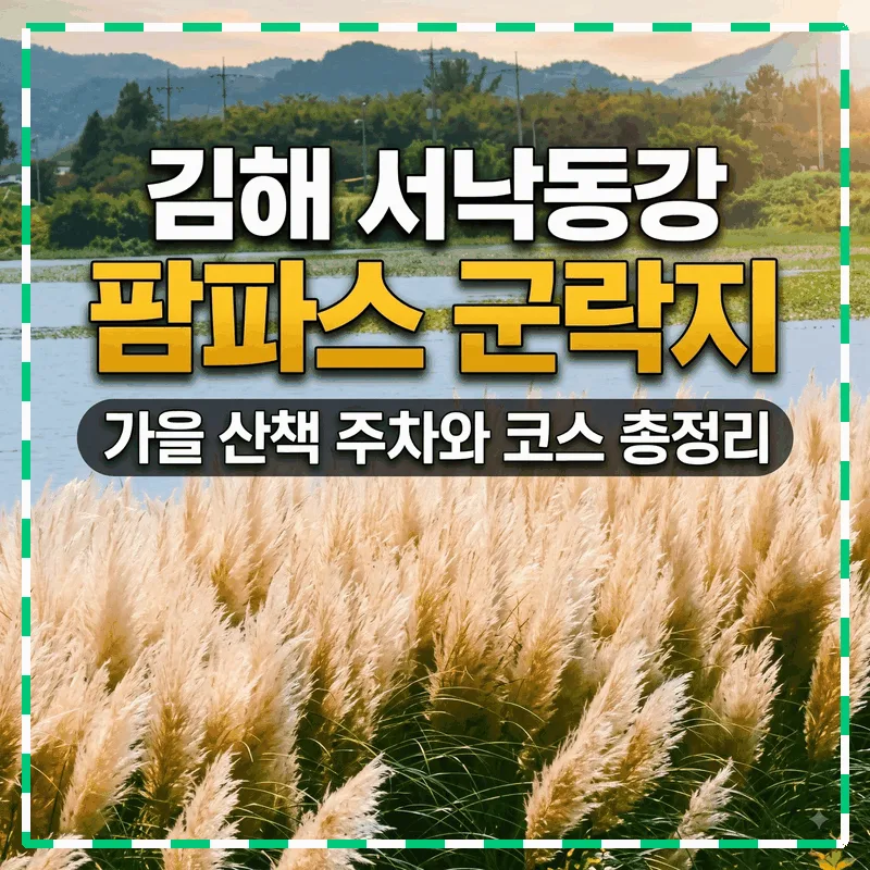 김해 서낙동강 팜파스 군락지 가을 산책 주차와 코스 총정리