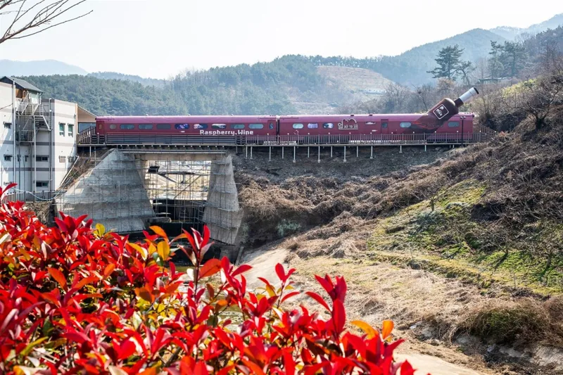 김해낙동강레일파크