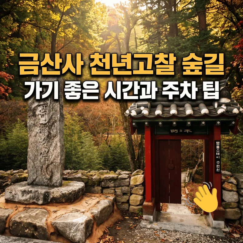 금산사 천년고찰 숲길 가기 좋은 시간과 주차 팁