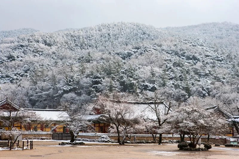 금산사