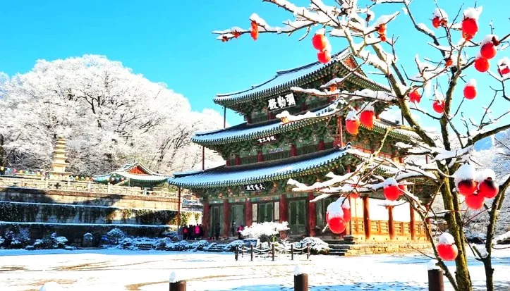 김제 금산사 설경 / 사진=한국관광공사 정효원