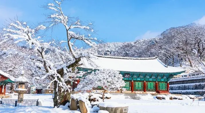 금산사 설경 / 사진=게티이미지뱅크