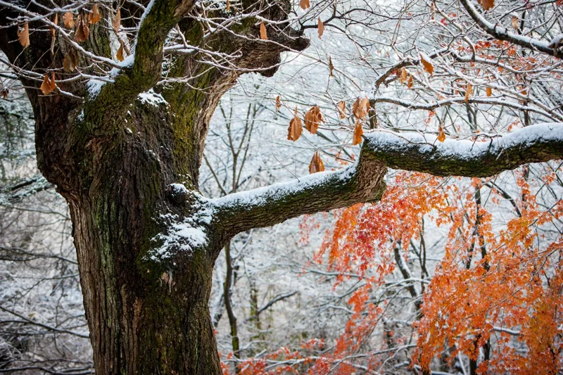 금산사
