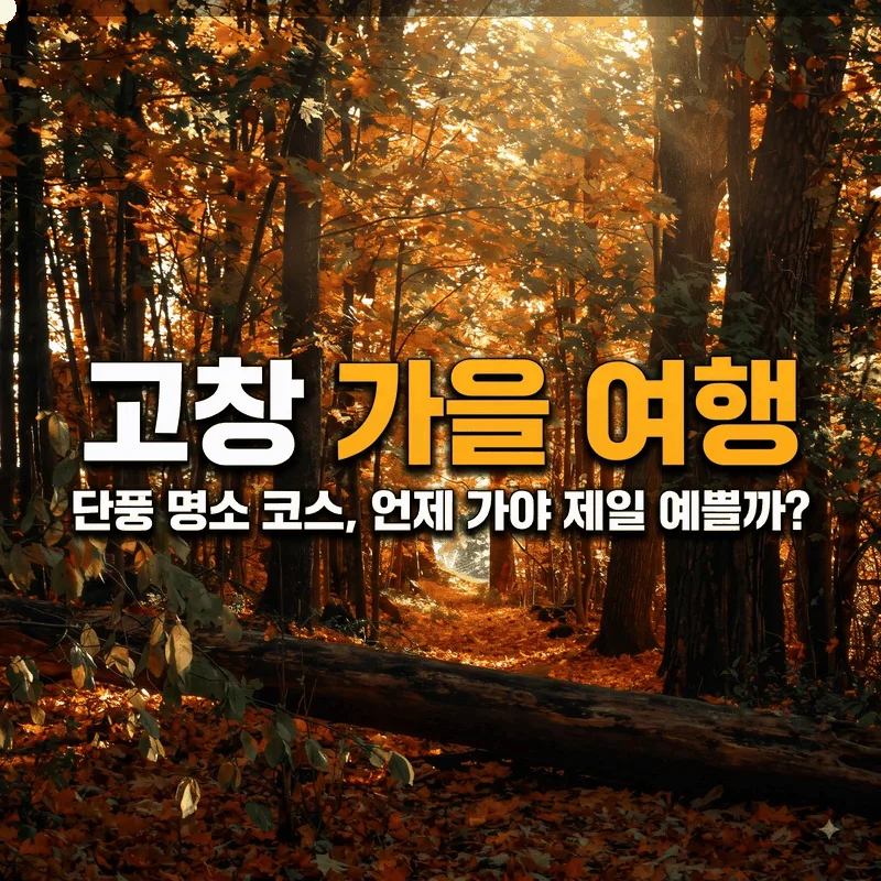 고창 가을 여행 단풍 명소 코스, 언제 가야 제일 예쁠까?