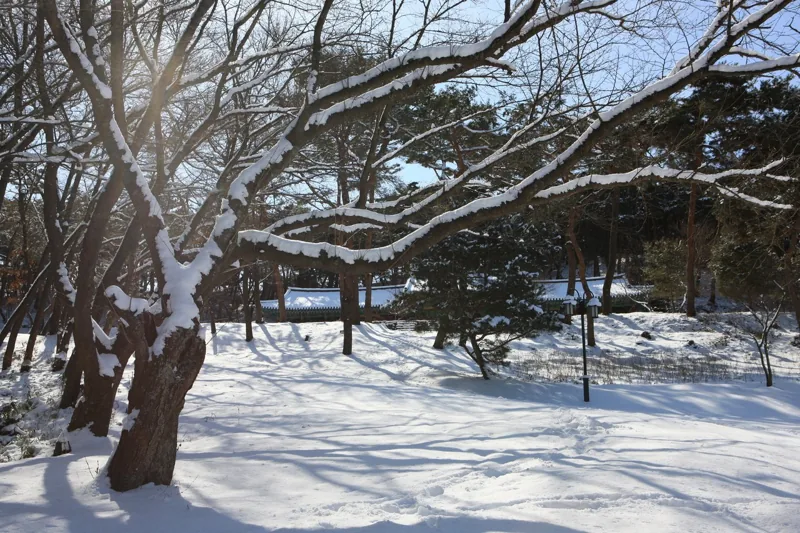 고창읍성(모양성)