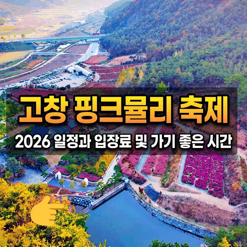 고창 핑크뮬리 축제 2026 일정과 입장료 및 가기 좋은 시간