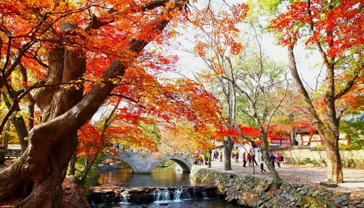 선운사 단풍 / 사진=ⓒ한국관광공사 이범수