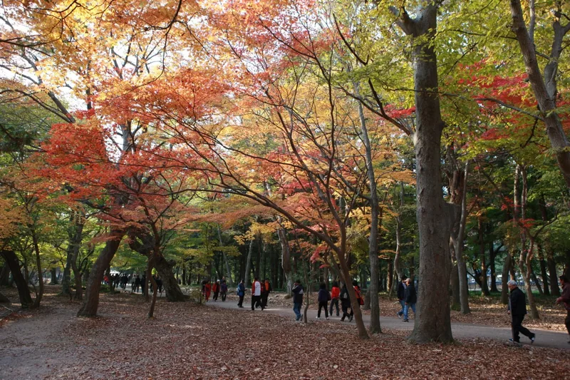 선운사