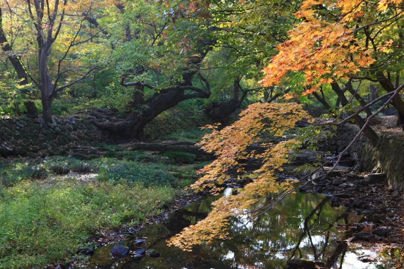 선운사