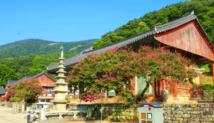 고창 선운사 경내 / 사진=선운사