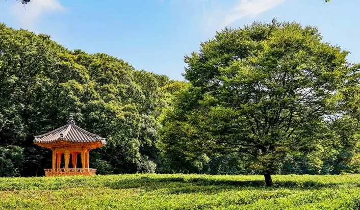 고창 선운사 / 사진=한국관광콘텐츠랩