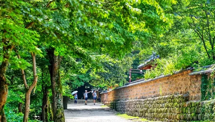 고창 선운사 풍경 / 사진=한국관광콘텐츠랩