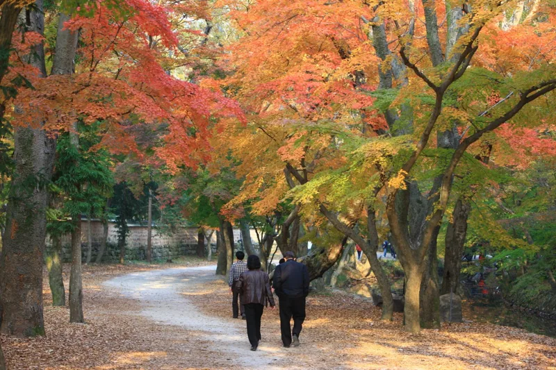 선운사