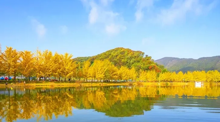 괴산 문광저수지 모습 / 사진=게티이미지뱅크