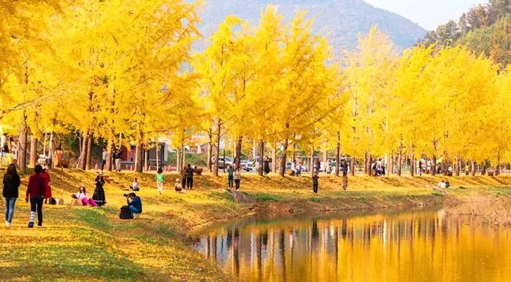 괴산 문광저수지 풍경 / 사진=한국관광콘텐츠랩