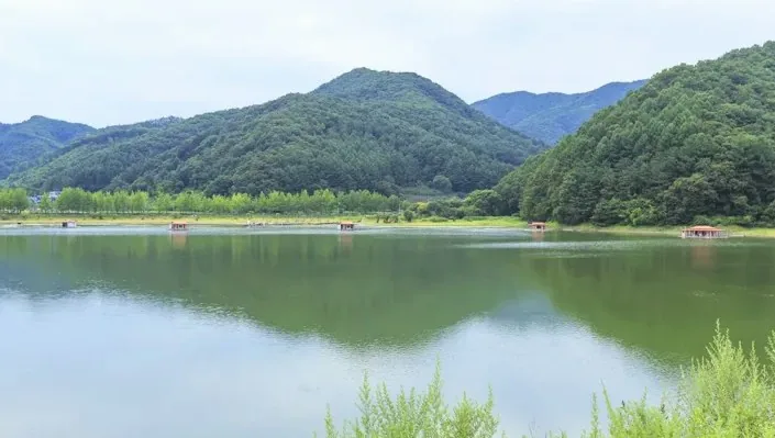 문광저수지 여름 / 사진=게티이미지뱅크