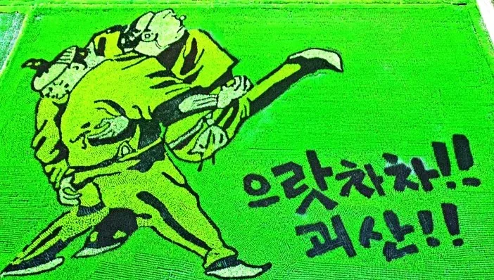 유색벼 논그림 모습 / 사진=괴산군청