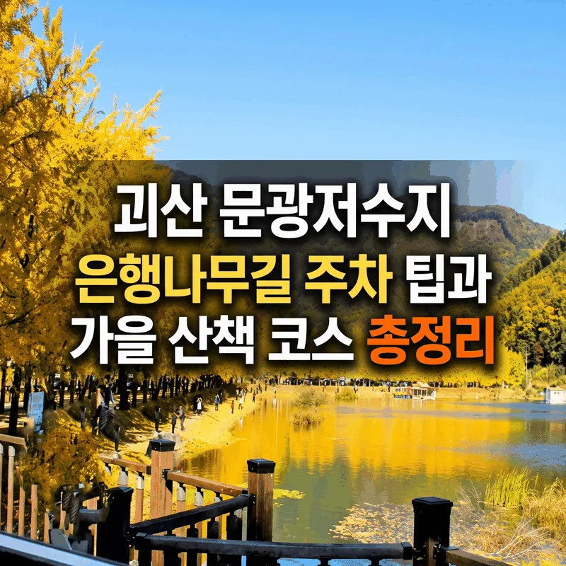 괴산 문광저수지 은행나무길 주차 팁과 가을 산책 코스 총정리