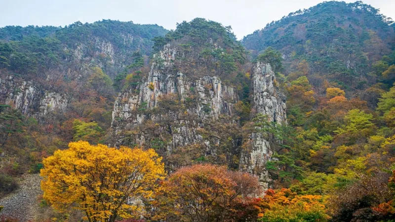쌍곡구곡