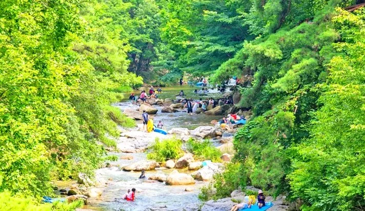 물놀이를 즐기는 사람들 / 사진=괴산군 공식블로그