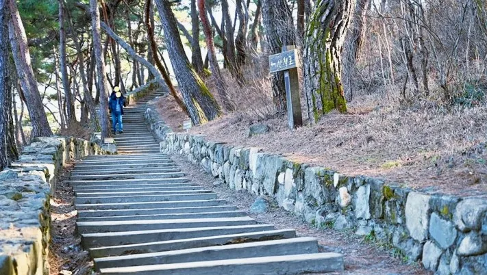 산막이옛길 산책로 / 사진=충청북도 공식 블로그 장해완