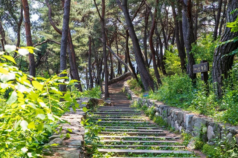 괴산산막이옛길