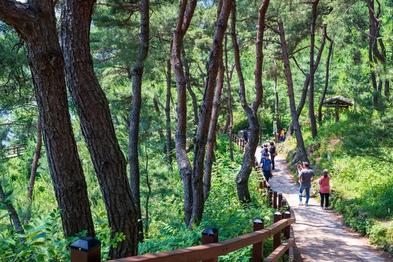 괴산산막이옛길