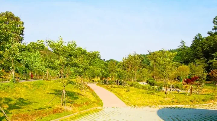 성불산 자연휴양림 풍경 / 사진=괴산군 문화관광