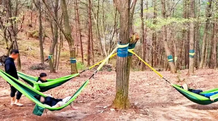 산림 치유 프로그램 / 사진=성불산 자연휴양림