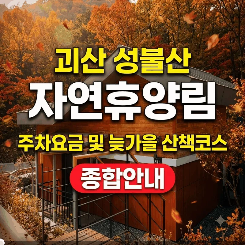 괴산 성불산자연휴양림 주차 요금과 늦가을 산책 코스 총정리