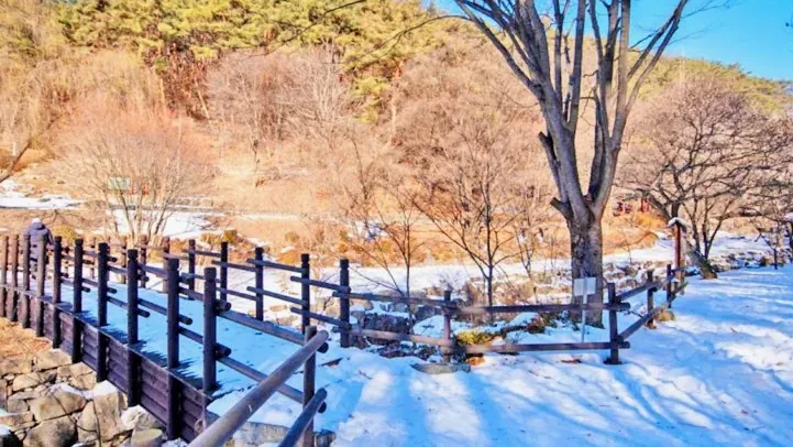 수옥폭포 다리 / 사진=충청북도 공식 블로그