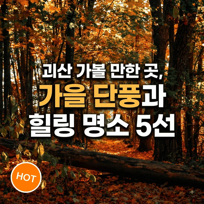 괴산 가볼 만한 곳, 가을 단풍과 힐링 명소 5선