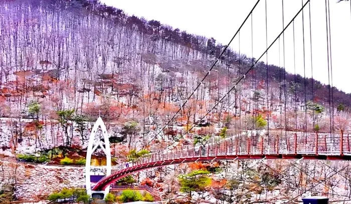 연하협구름다리 겨울 풍경 / 사진=괴산군 공식 블로그