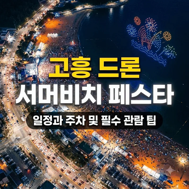 고흥 드론 서머비치 페스타 일정과 주차 및 필수 관람 팁